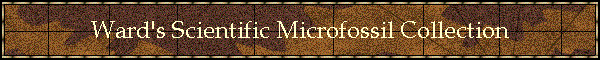 Ward's Scientific Microfossil Collection