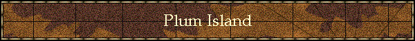 Plum Island